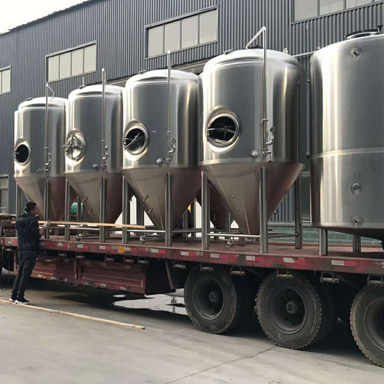 50L-120BBL  Commercial fermentation tanks ZXY